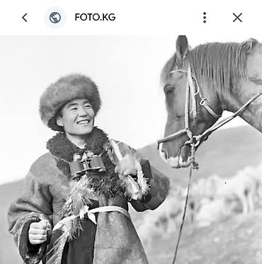 Чабан керек срочно