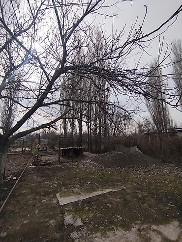 Продажа коттеджей и домов: Продается дом в г. Кара балта 17,5 соток. Мы посадили осенью новый — 13