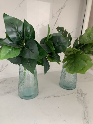 Вазы: Две вазы