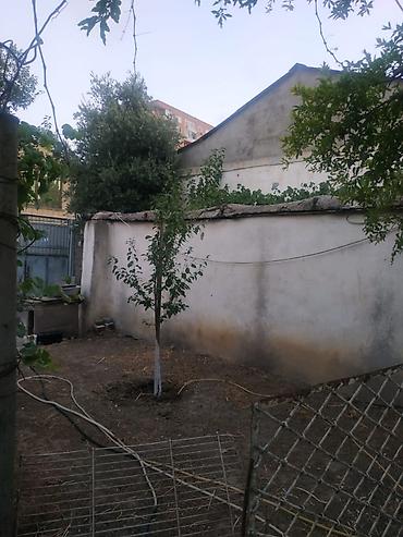 Torpaq: 4 sot, Tikinti, Makler, Kupça (Çıxarış) — 8