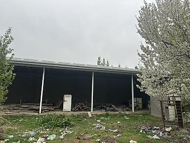 Продажа участков: 8 соток, Красная книга at lalafo.kg — 30 Продажа участков: 8 соток, Красная книга — 30
