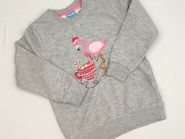 iq bielizna termoaktywna: Sweatshirt, Lupilu, 3-4 years, 98-104 cm, condition - Very good