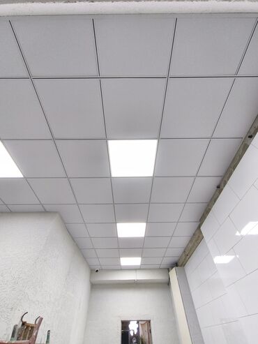 Натяжной потолок: ПОДВЕСНЫЕ ПОТОЛКИ ГРИЛЬЯТО, АРМСТРОНГ И РЕЕЧНЫЙ ПОТОЛОК На любой — 6