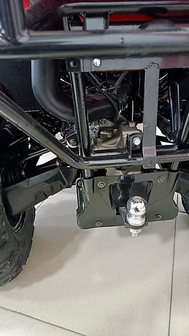 Квадроциклы: Квадроцикл Бензин, 500 куб. см, Взрослый — 3