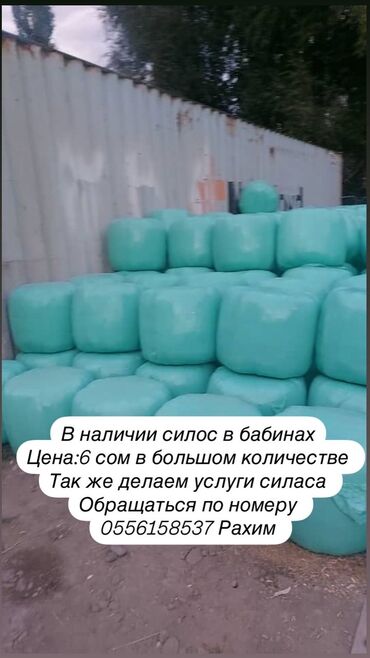 тоют: Топовый силос