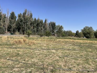 Продажа участков: 27000 соток, Для строительства, Договор купли-продажи — 3