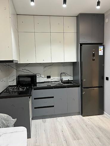 Долгосрочная аренда квартир: 2 комнаты, С мебелью полностью — 2