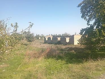 Torpaq: Biznes üçün — 4