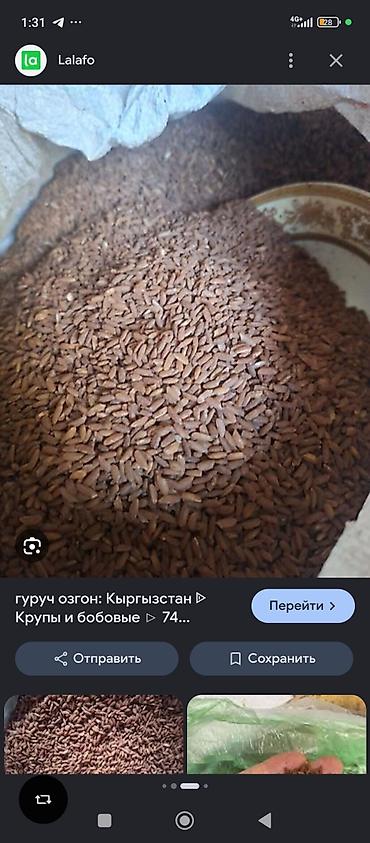 девзира рис купить: Рис, Узгенcкий, 1 — 1