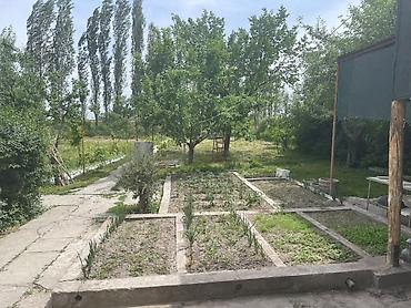 Дома: 🔥 Срочно продается участок с домом в Новопокровке 📍 Локация — 3