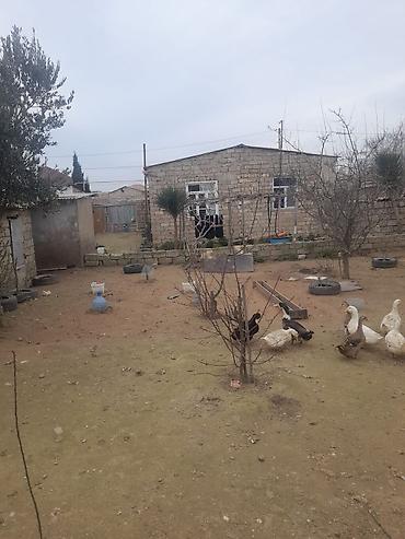 Həyət evləri və villaların satışı: 4 otaqlı, 4000 kv. m, Kredit yoxdur, Orta təmir — 3