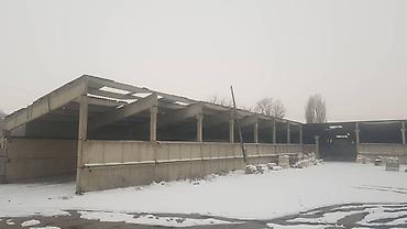дом пр: Сдам складские и производственные помещения с. Н Покровка Бывший — 3