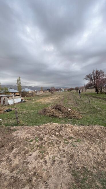 дом в ак орго: 4 соток, Бизнес үчүн, Кызыл китеп