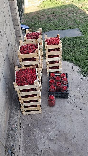 Малина: Малина — 9