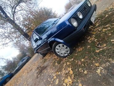 передний бампер опель вектра с: Volkswagen Golf: 1987 г., 1.6 л, Механика, Дизель, Хэтчбэк
