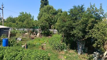 продается орошаемая земля в жайылско районе алтыр будёновка 5 40 гектар цена договорная с довой проблем нету оформление сразу: 3 соток