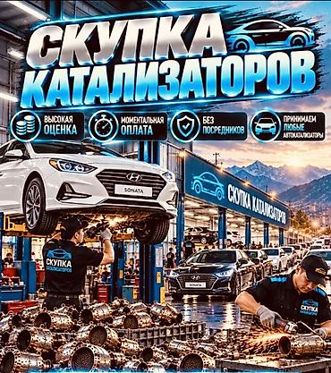 bcd com: Катализатор сатып алабыз,эн кымбат баада, Скупка катализаторов очень — 2