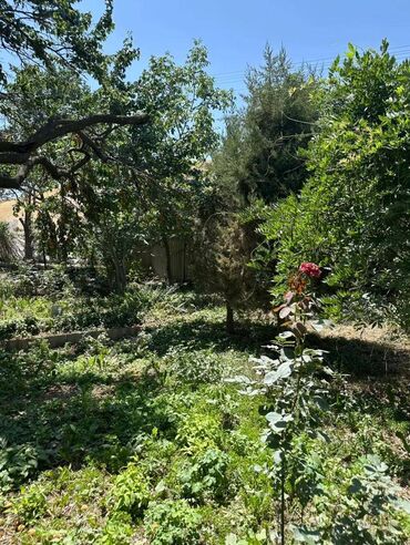 продаю дом в кок жаре: 5 соток, Для строительства, Красная книга, Договор купли-продажи