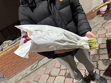 Букеты из живых цветов: Тюльпаны срезанные — оптом и в букетах - Ассортимент цветов: жёлтые at lalafo.kg — 2 Букеты из живых цветов: Тюльпаны срезанные — оптом и в букетах - Ассортимент цветов: жёлтые — 2