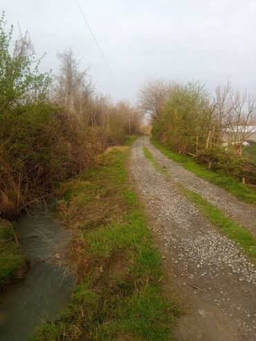 Torpaq sahələrinin satışı: 45 sot, Kənd təsərrüfatı, Mülkiyyətçi, Kupça (Çıxarış) -da lalafo.az — 10 Torpaq sahələrinin satışı: 45 sot, Kənd təsərrüfatı, Mülkiyyətçi, Kupça (Çıxarış) — 10