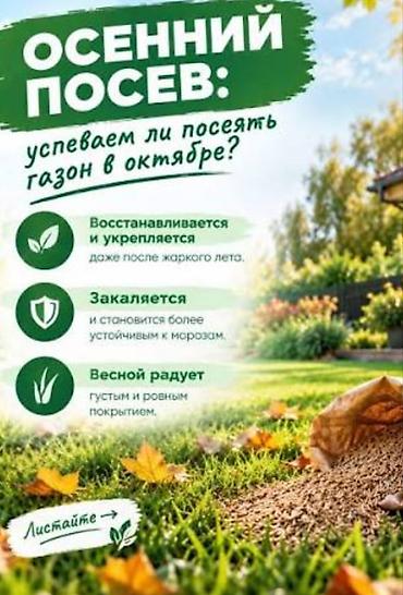 купить газонную траву в бишкеке: Осенний посев газона — профессиональные работы «под ключ». Что — 4