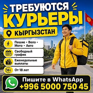 качан: Талап кылынат Автокурьер, Велокурьер, Мото курьер Кечки жумуш, Ийкемдүү график, Техколдоо, 18 жаштан жогору — 1