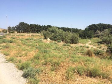 Torpaq sahələrinin satışı: 45 sot, Tikinti, Makler, Kupça (Çıxarış) — 5