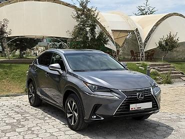 Lexus NX: 2019 г., 2 л, Автомат, Бензин, Кроссовер