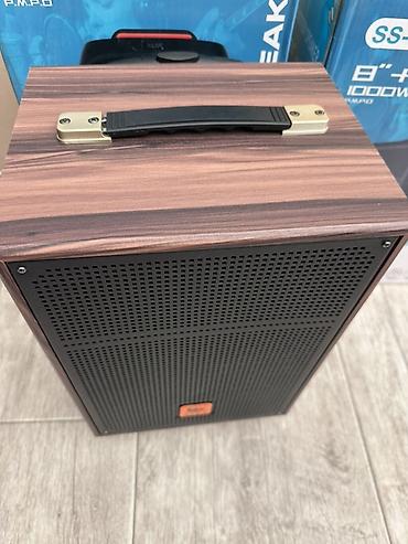 колонка для ноутбука usb: Портативная акустическая система SS-3101 (Professional Battery — 2