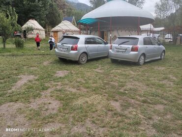 runx alex: Toyota Allex: 2003 г., 1.5 л, Автоматические, Бензин, Хэтчбэк