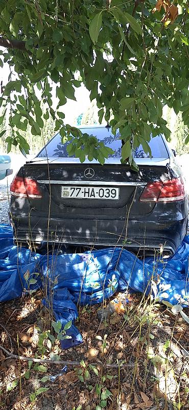 2015 corolla: Mercedes-Benz E 200: 3 l | 2015 il Sedan — 2