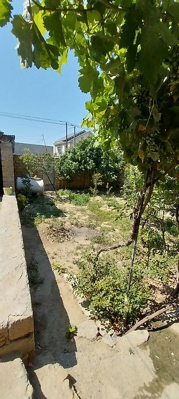 masazırda torpaq: Kupça (Çıxarış) — 4