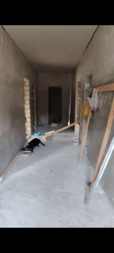 Həyət evləri və villaların satışı: 4 otaqlı, 110 kv. m, Kredit yoxdur, Təmirsiz — 10