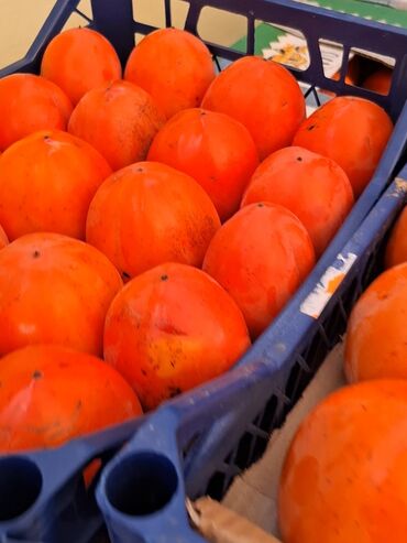 Meyvə və giləmeyvə: Məhsul: Öz bağımızdan Xurma . Ağdaş Xurması. Qiyməti - 0.70. Çox — 2