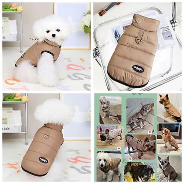 Зоотовары: Продаю игрушку/когтеточку/лежанку 3в1,с кошачей мятой,вашему котику — 27