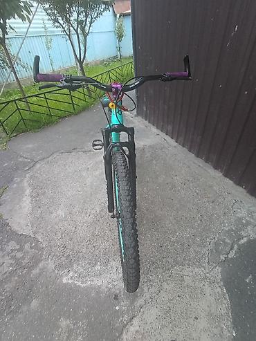 Dağ velosipedləri: Full Bike dağ velosipedi - Markalanma: FULL BIKE (çərçivə və — 3