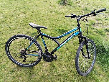 kupaci kostimi koji se brzo suse: Capriolo Diavolo 26inc 18 Brzina Shimano/Povoljno Kvalitetna — 1
