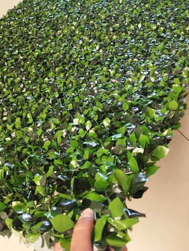 Digər ev dekoru: 🌿 Süni Çəpər – Təbii Gözəlliyin Süni Həlli! 🌿 📏 Eni 1.00 metr olur 📏 — 5