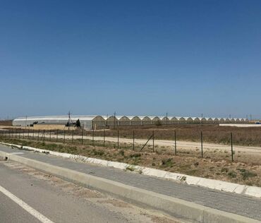 земельные участки коммерческого назначения: Möhtəşəm Fürsət! Fatmayı qəsəbəsində Tam Təhciz Olunmuş İstixana