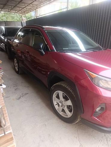 raf4 2020: Toyota RAV4: 2019 г., 2.5 л, Автомат, Бензин, Кроссовер — 2