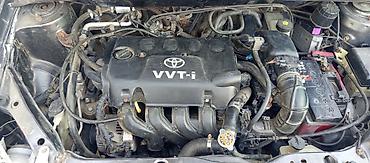 Toyota: Toyota Echo: 2003 г., 1.5 л, Механика, Бензин, Седан — 9