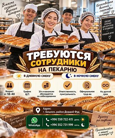 Требуются мужчины в пекарню Ночная и дневная смена Возраст от 18–40 at lalafo.kg Требуются мужчины в пекарню Ночная и дневная смена Возраст от 18–40
