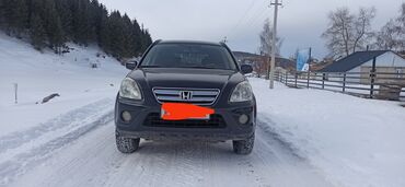 полтавский: Honda CR-V: 2005 г., 2.4 л, Бензин