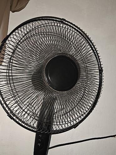 table fan: Вентилятор Напольный — 1