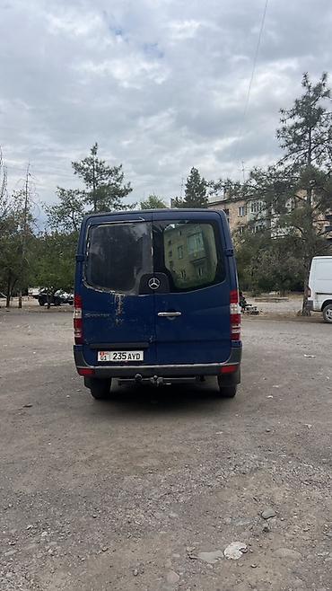 165 13: Mercedes-Benz Sprinter, синий пассажиро-грузовой фургон. Кузов и — 4
