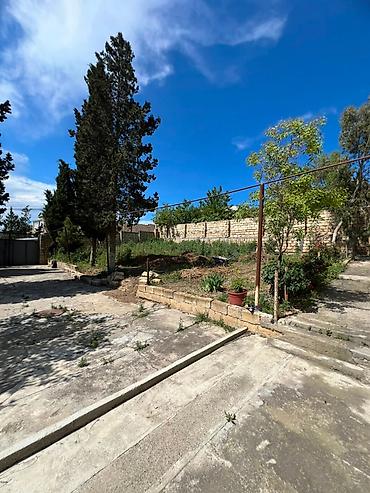 Torpaq sahələrinin satışı: 3 sot, Tikinti, Barter mümkündür, Kupça (Çıxarış) — 13