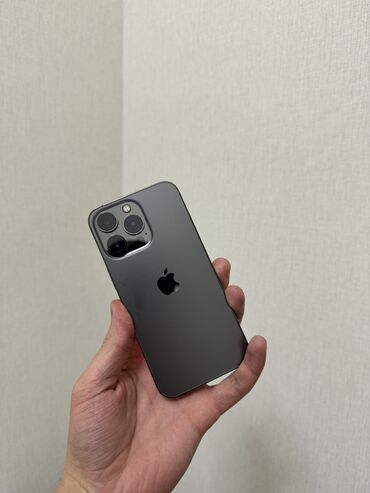 Apple iPhone: IPhone 13 Pro, Б/у, 256 ГБ, Черный, Защитное стекло, Чехол, 84 % — 6