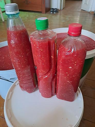 продам лук: Огурцы — 9