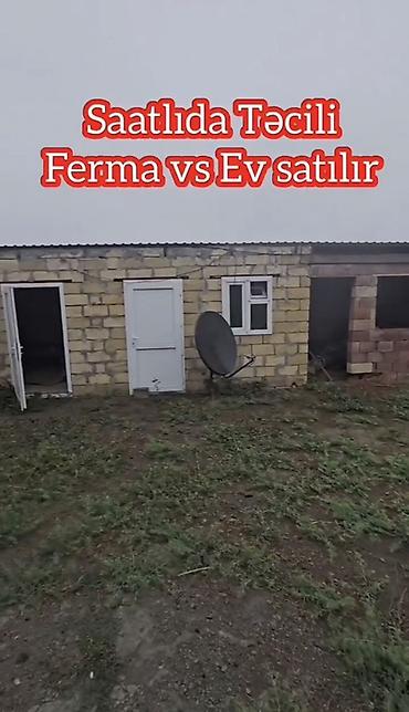 1 otaqli heyet evleri: Satılır: Saatlı rayonu, Bəylər kəndində ferma və yaşayış evi kompleksi — 5