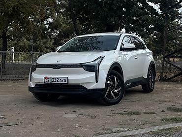 Hozon: Hozon Neta U: 2022 г., 0.1 л, Вариатор, Электромобиль, Кроссовер — 1